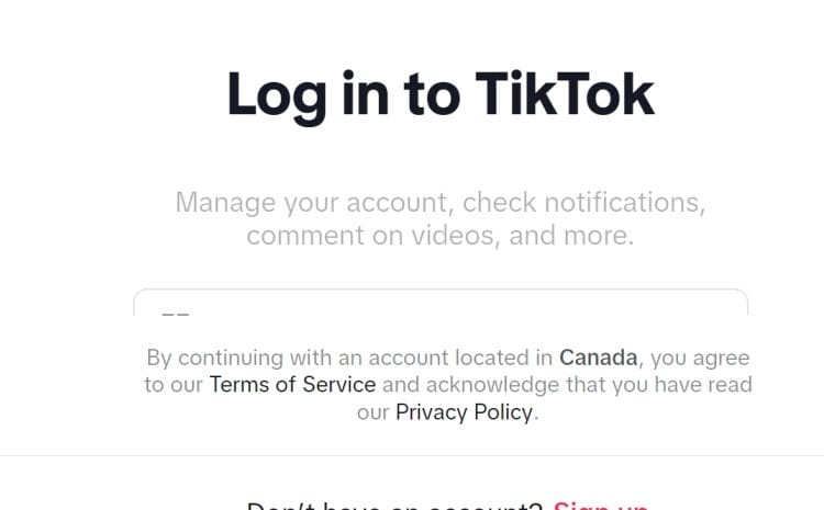  2024 Shopify 和电子商务的 TikTok 趋势